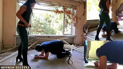 I'll stuff my huge pile of shit deep