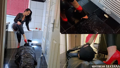 Learning video with Shit Eater No. 1