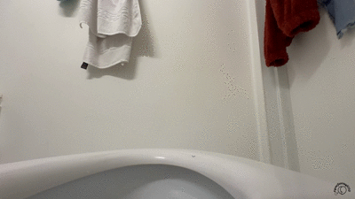 Bathroom Relief Intimate Toilet Poop