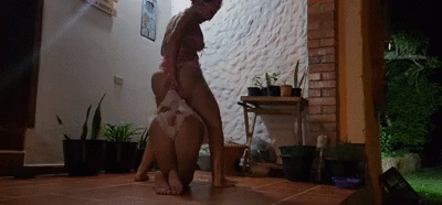 Piglets at the Fence