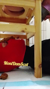 Sunday pre-poo fart with chocco waste