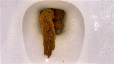 4 Close Up Toilet Shits Compilation