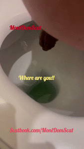 Huge poop - public office toilet