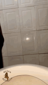 Queen Nutella : Morning Dump 7