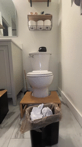 Eat Shit Piece of Trash