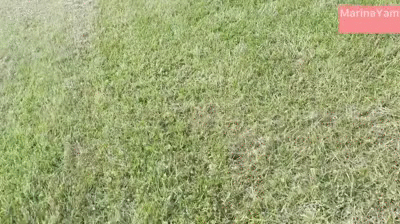 Shitting at firing practice range