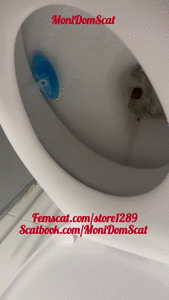 Public toilet huge messy poop