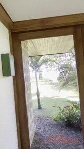 Shit play in paradise