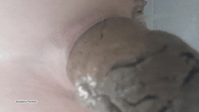 Fat Dose Crave Slave