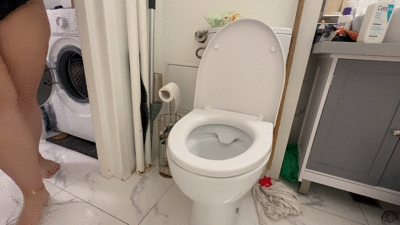 Standing Toilet Poop Orange Drop