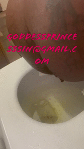 TUESDAY MORNING TURD TURMOIL