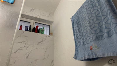 Desperation Accident Bathroom Floor Poop