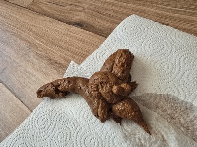 Scat 459: Quite a lot. Lots of moaning.