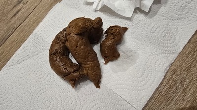 Scat 460: hard donuts