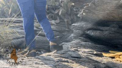 Queen Nutella : Outdoor Poop 3