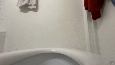 Real Toilet Poop Video Uncut