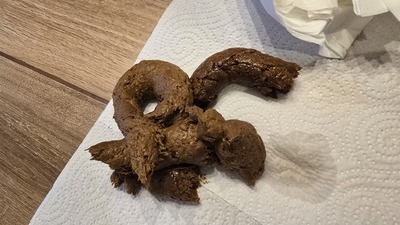 Scat 463: What a stink!