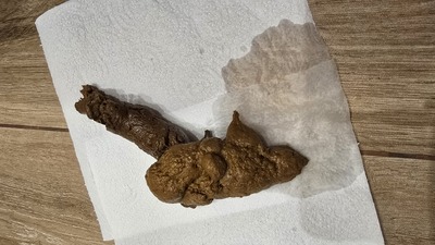 Scat 466: soggy Donut