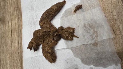 Scat 467: soft churro