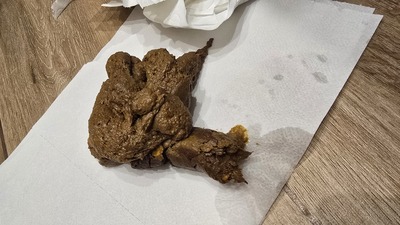 Scat 470: with chunks of corn