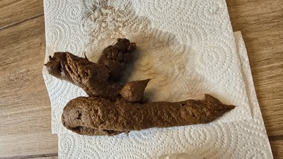 Scat 472: on the floor