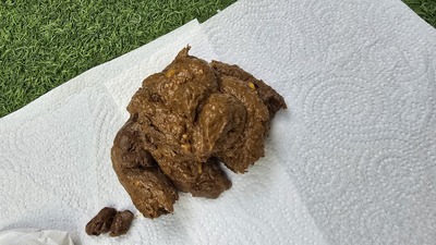 Scat 474: There's so much corn!