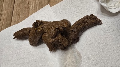 Scat 475: corn, and a worm