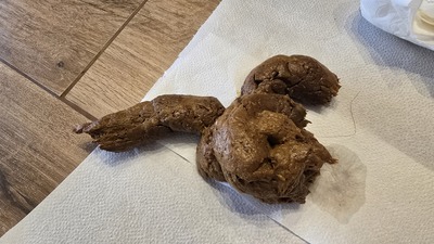 Scat 478: Hard at first, then soft