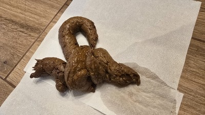 Scat 480: soft churro!