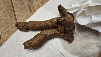 Scat 481: A nice, long load!