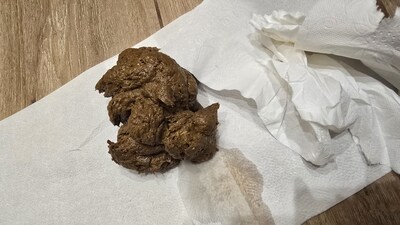 Scat 483: A massive case of diarrhea