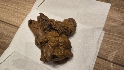 Scat 484: A mix of hard and soft.