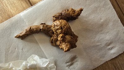 Scat 485: stinky churros