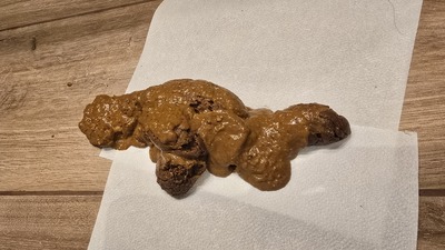 Scat 486: What a stench!