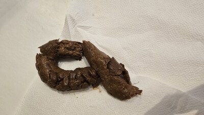 Scat 488: I'm so nervous!