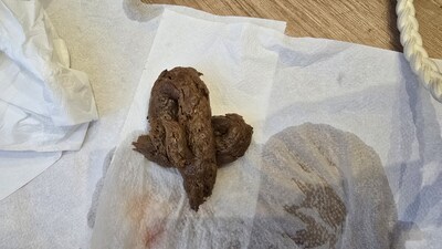 Scat 490: hard chocolate