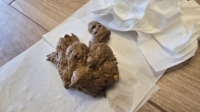 Scat 491: A bunch of soft churros with corn!