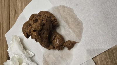 Scat 492: soft glop of pee