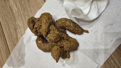 Scat 495: Huge weekend