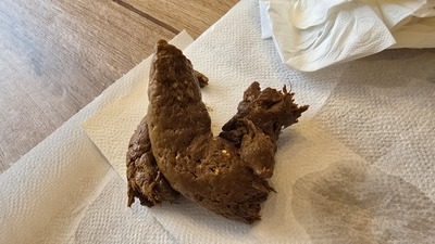 Scat 499: Medium hard scat.