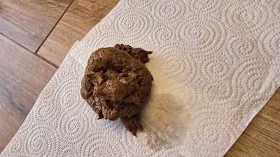 Scat 501: Hard churros