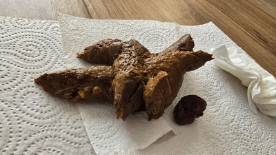 Scat 503: churros on the floor