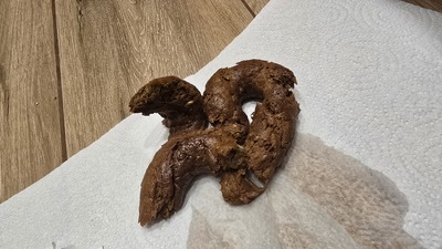 Scat 504: On the floor