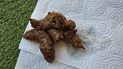 Scat 507: Soft churros as a gift!