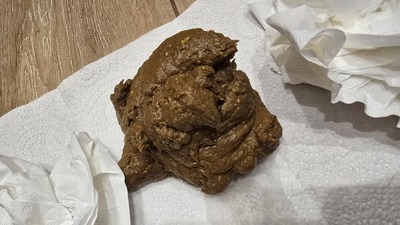 Scat 508: creamy chocolate