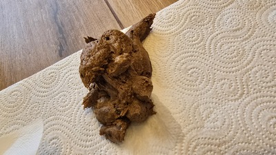 Scat 509: soft, smelly mess on the floor