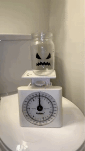 Lust in Shitting Thick Log