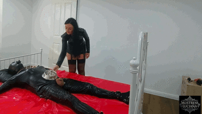 The daily portion of shit for the shit eater