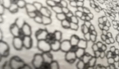 You deserved my dog shit