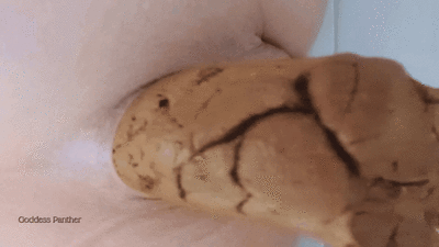 Worship Goddess Shit